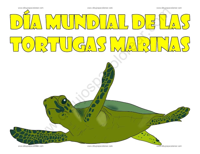 Día mundial de las tortugas marinas dibujo a color y para colorear